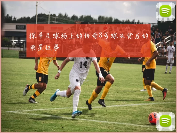 探寻足球场上的传奇8号球衣背后的明星故事