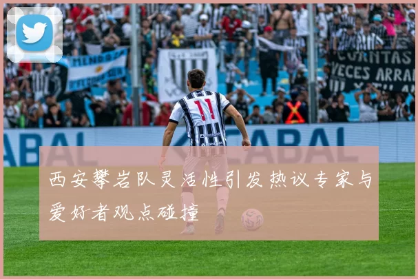 西安攀岩队灵活性引发热议专家与爱好者观点碰撞