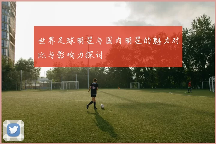 世界足球明星与国内明星的魅力对比与影响力探讨