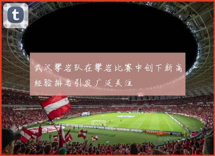 武汉攀岩队在攀岩比赛中创下新高经验排名引发广泛关注