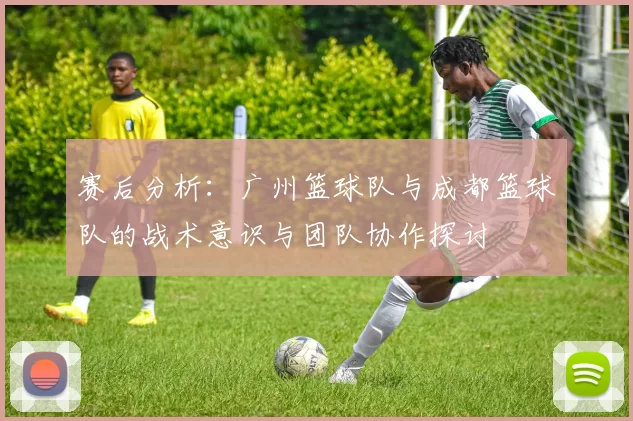 赛后分析：广州篮球队与成都篮球队的战术意识与团队协作探讨