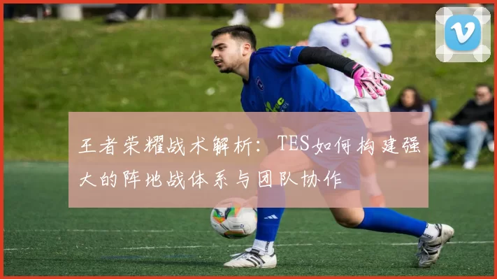 王者荣耀战术解析：TES如何构建强大的阵地战体系与团队协作