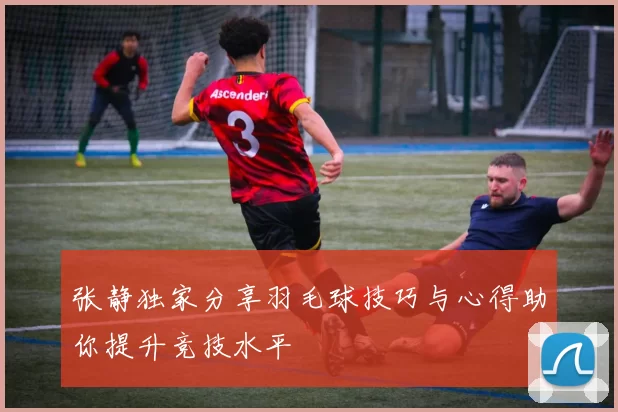张静独家分享羽毛球技巧与心得助你提升竞技水平