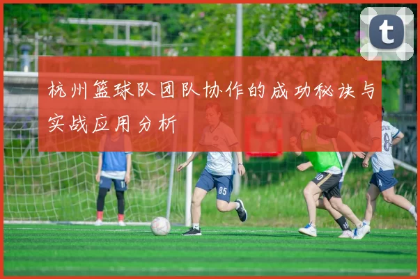 杭州篮球队团队协作的成功秘诀与实战应用分析