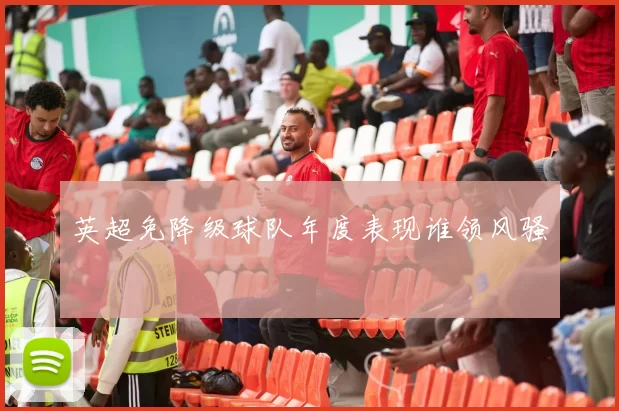 英超免降级球队年度表现谁领风骚