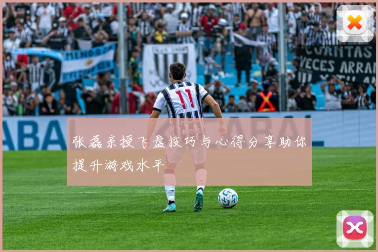 张磊亲授飞盘技巧与心得分享助你提升游戏水平