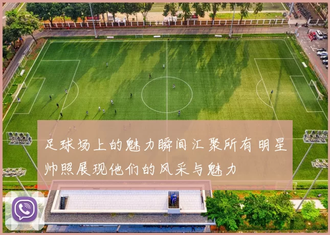 足球场上的魅力瞬间汇聚所有明星帅照展现他们的风采与魅力