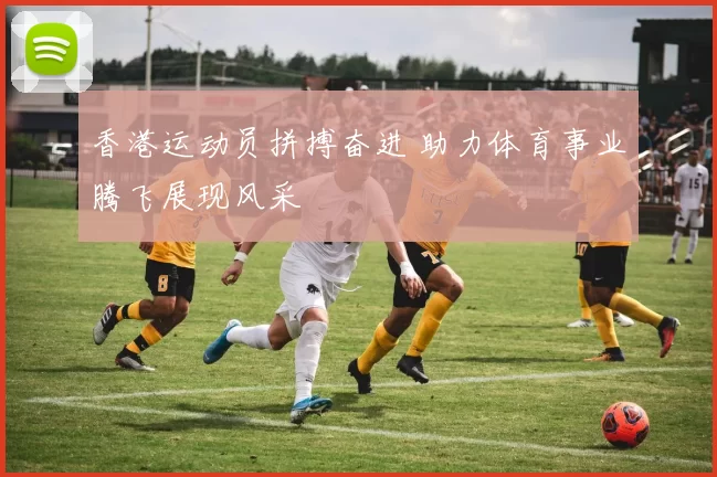 香港运动员拼搏奋进 助力体育事业腾飞展现风采