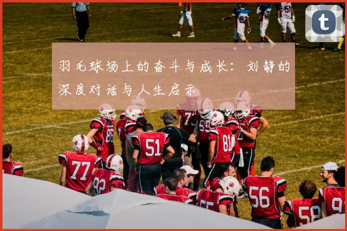 羽毛球场上的奋斗与成长：刘静的深度对话与人生启示